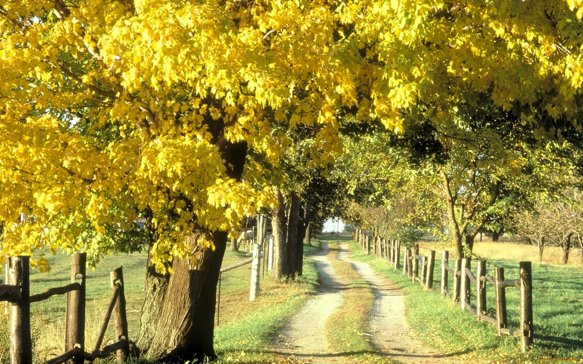 �������, ������, ����, �������, �����, �����, ������